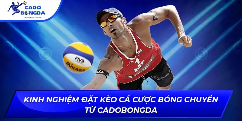 Kèo cá cược bóng chuyền