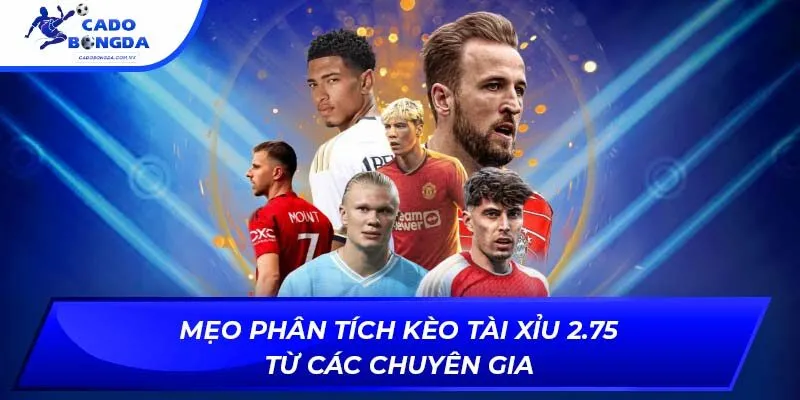Mẹo phân tích kèo tài xỉu 2.75 từ các chuyên gia
