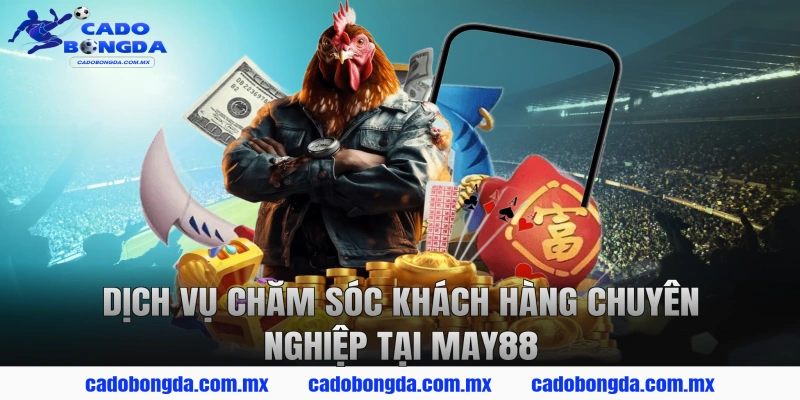 Dịch Vụ Chăm Sóc Khách Hàng Chuyên Nghiệp Tại MAY88