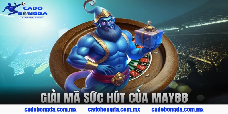 Giải Mã Sức Hút Của MAY88